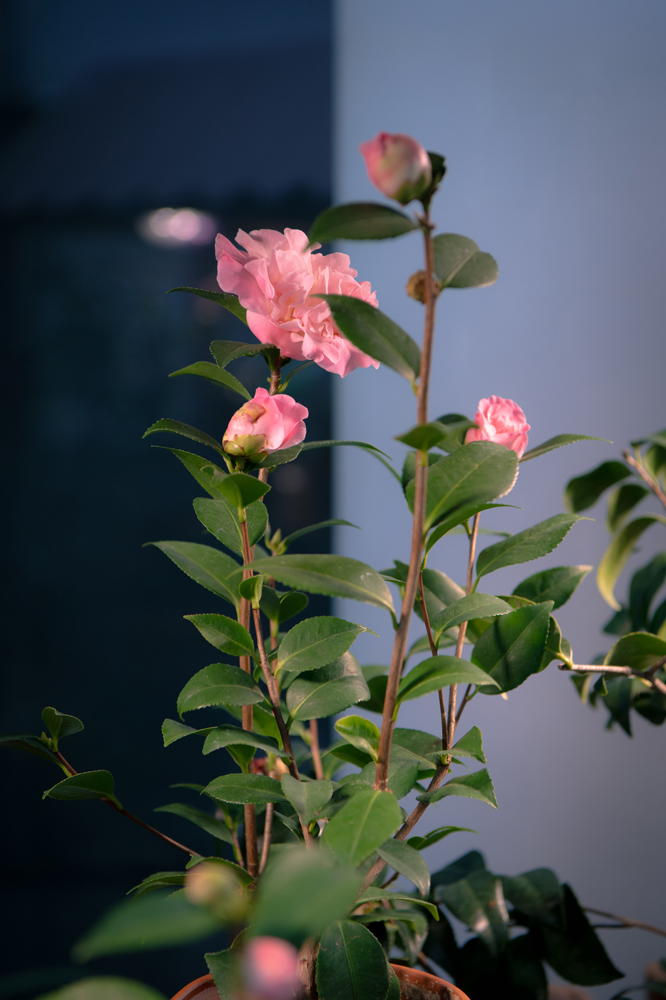 2026년 2월의 기록 첨부 이미지