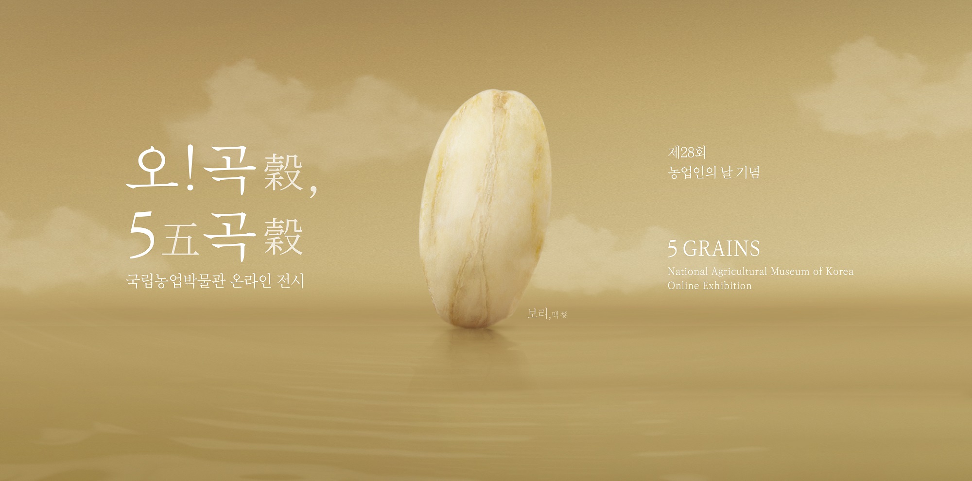 2023 국립농업박물관 온라인 전시 <오! 곡穀, 오五곡穀> 5GRAINS NATIONAL AGRICULTURAL MUSEUM OF KOREA ONLINE EXHIBITION 쌀米 보리麥콩豆 기장黍 조粟