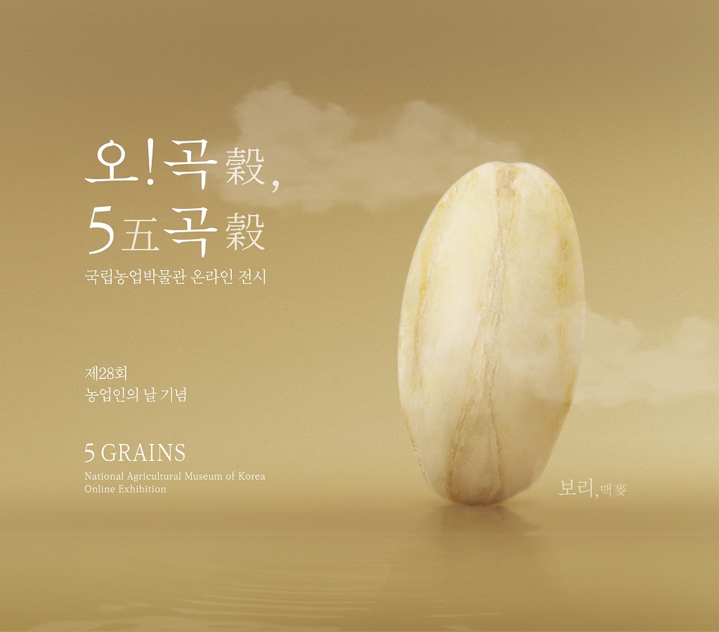 2023 국립농업박물관 온라인 전시 <오! 곡穀, 오五곡穀> 5GRAINS NATIONAL AGRICULTURAL MUSEUM OF KOREA ONLINE EXHIBITION 쌀米 보리麥콩豆 기장黍 조粟