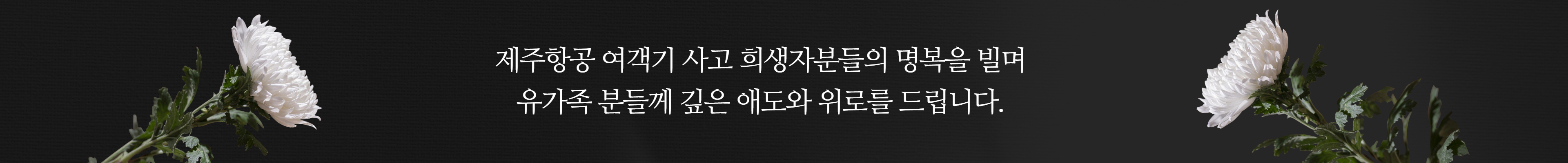 제주항공 여객기 사고 희생자분들의 명복을 빌며 유가족 분들께 깊은 애도와 위로를 드립니다.