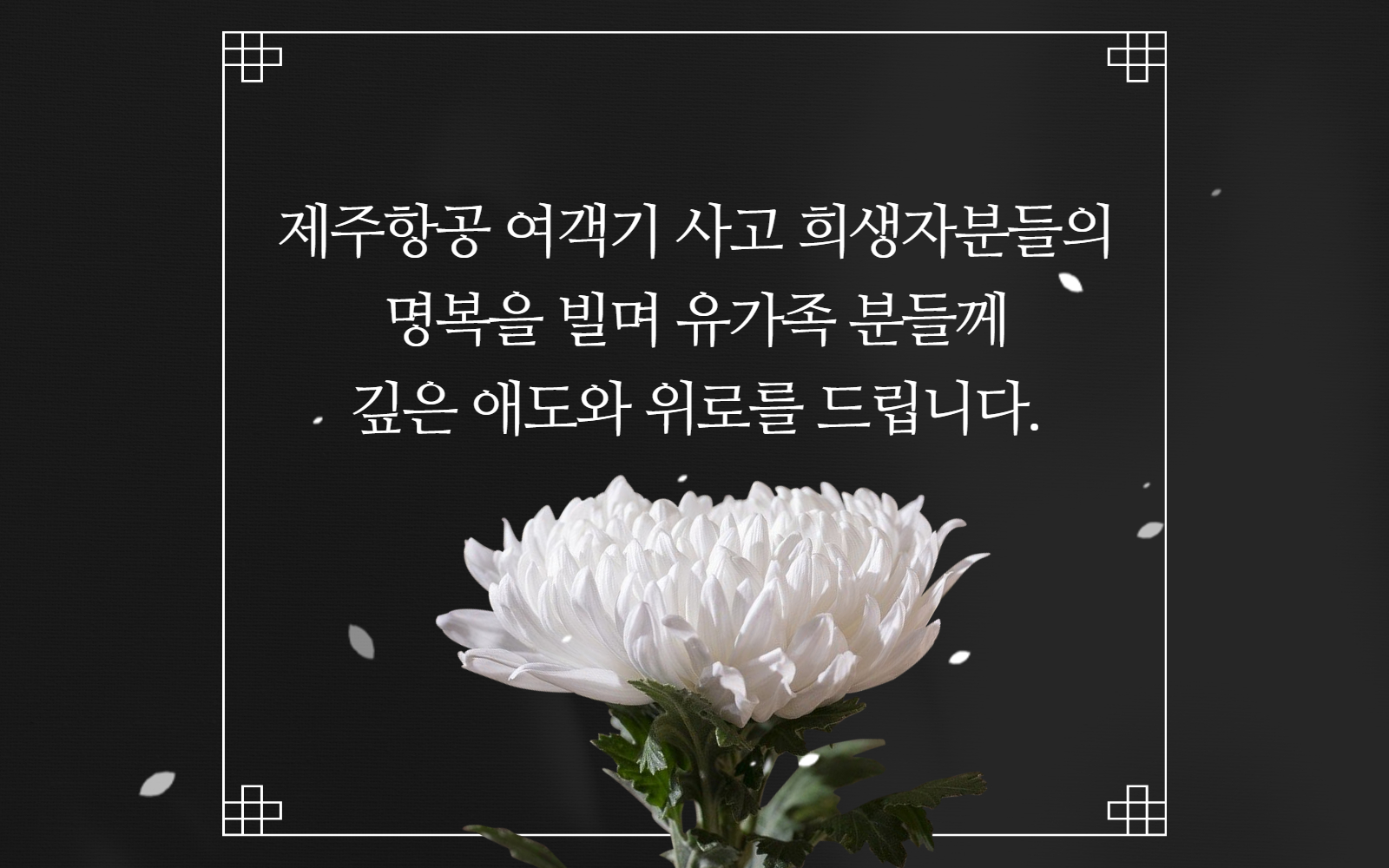 제주항공 여객기 사고 희생자분들의 명복을 빌며 유가족 분들께 깊은 애도와 위로를 드립니다.