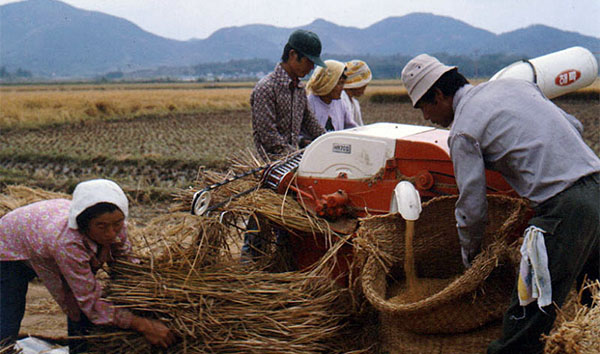 1970년대 전동탈곡기