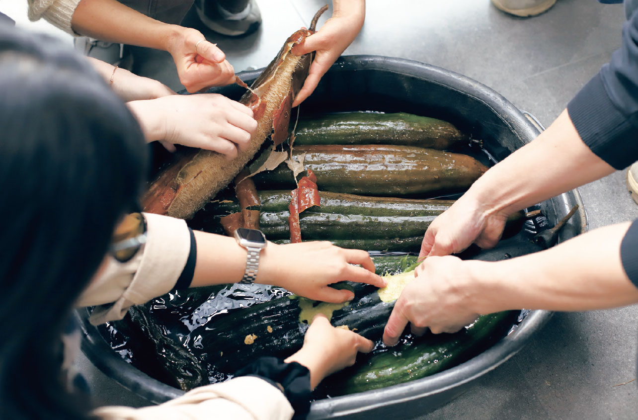 토종 텃밭에서 키운 수세미로 친환경 수세미를 만드는 모습